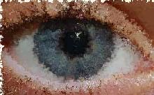 &iexcl;qu&eacute; bonitos son tus ojos!